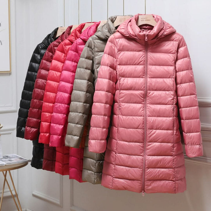 81575155728649
